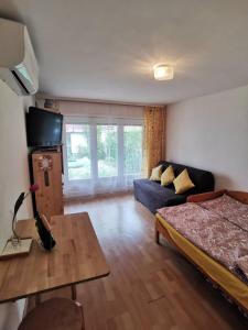 Televízia a/alebo spoločenská miestnosť v ubytovaní Kaméleon Apartmanház EV töltéssel