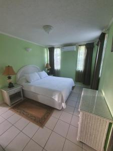 a bedroom with a white bed and green walls at Burns' Apartment in Cap Estate