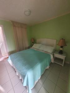 een slaapkamer met een bed met een blauwe deken erop bij Burns' Apartment in Cap Estate