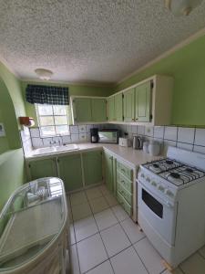 La cuisine est équipée de placards verts et d'une cuisinière blanche. dans l'établissement Burns' Apartment, à Cap Estate
