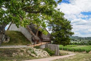 a house on top of a hill with a tree at Máli Pince in Aszófő
