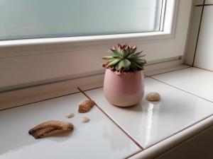 Fotografia z galérie ubytovania Helle Ferienwohnung Saunahaus v destinácii Annaberg im Lammertal