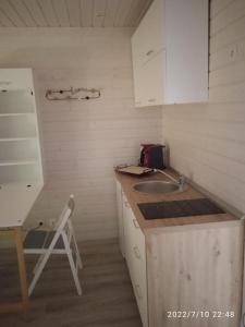 una pequeña cocina con fregadero y encimera en Studio au fil de l'eau, en Saulzoir