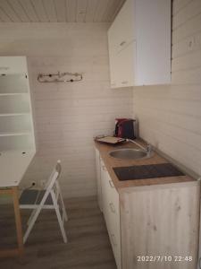 a small kitchen with a sink and a counter at Studio au fil de l'eau in Saulzoir