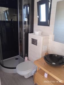 a bathroom with a shower and a toilet and a sink at Studio au fil de l'eau in Saulzoir