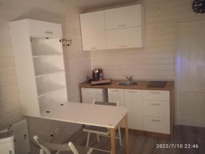 uma pequena cozinha com uma mesa e um lavatório em Studio au fil de l'eau em Saulzoir