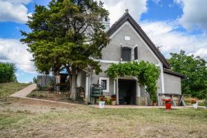 a white house with a tree in the yard at Máli Pince in Aszófő +12 photos