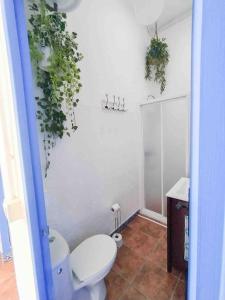 baño con aseo y plantas en la pared en “Flor de Sal” Charming Traditional Andalusian House, en Ayamonte