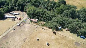 an aerial view of a farm with trees and people at Tent Pitch only no accommodation supplied in Elsenham