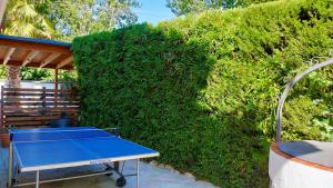 Stolný tenis v ubytovaní villa aranda alebo v jeho okolí