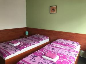 Postel nebo postele na pokoji v ubytování Hotel Hokejka