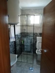 a bathroom with a shower and a toilet at Azra in Visoko