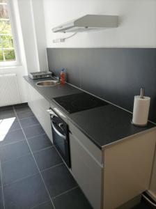 cocina pequeña con fregadero y fogones en O'Couvent - Appartement 97 m2 - 4 chambres - A514 en Salins-les-Bains