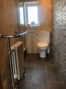 a bathroom with a toilet and a sink and a window at Honey lodge in Caeathro +7 photos