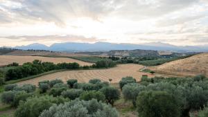 um campo com árvores e montanhas à distância em Agriturismo Rende em Tarsia