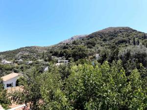 A general mountain view or a mountain view taken from the holiday home
