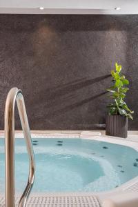 The swimming pool at or close to Hotel Erika