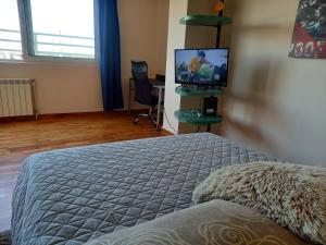 TV a/nebo společenská místnost v ubytování Top Studio