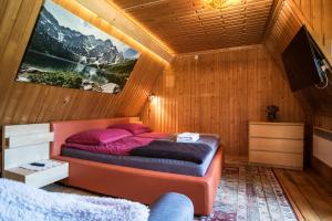 a bedroom with a bed and a tv in a room at Gorski dom Gubalowka in Zakopane
