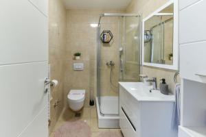 y baño con ducha, aseo y lavamanos. en Relax studio apartman Novi Sad, Telep, en Pasuljište