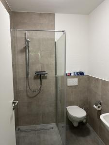 ein Bad mit einer Dusche, einem WC und einem Waschbecken in der Unterkunft Luxus Apartment III - Garten, Küche, Gym in Reken