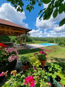 un jardín con flores y una piscina en HOOPOVO HOUSE Fruška gora, en Irig