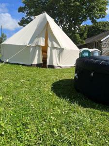 a large white tent in a field of grass at Tipi - Pengarreg in Aberystwyth