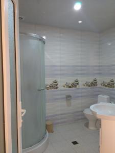 a bathroom with a shower and a toilet and a sink at Lake House Gyumri in Noraber +35 photos