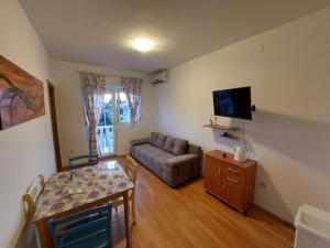 TV a/nebo společenská místnost v ubytování Apartments Crnjac