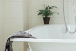 a potted plant sitting on top of a bath tub at Rabbit Hotel in Raiskums