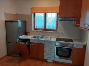 Kuchyň nebo kuchyňský kout v ubytování Apartment OAZA RELAX + 8 fotografií