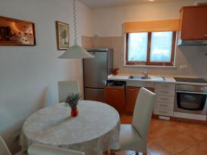 Kuchyň nebo kuchyňský kout v ubytování Apartment OAZA RELAX