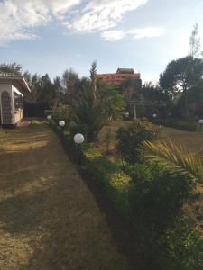 Zahrada ubytování The kioka gardens 2 bedroom Ensuites