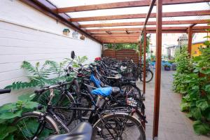 Jízda na kole v ubytování Hotel Zur Mühle nebo okolí