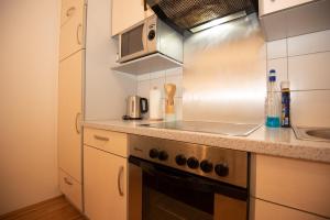 Kuchyňa alebo kuchynka v ubytovaní Appartements in Graz beim LKH