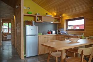 Kuhinja oz. manjša kuhinja v nastanitvi Palafito Verde Apart Hotel