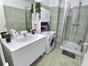 a bathroom with a sink and a washing machine at Le CONTI Proche Roissy - Astérix- Gare in Le Plessis-Belleville