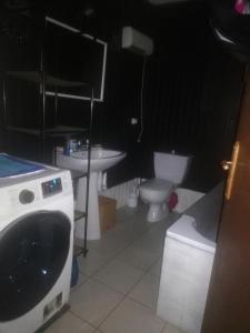 uma casa de banho com uma máquina de lavar roupa e um WC em Appartement La Bernardine au coeur du Jura em Orgelet