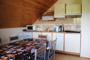 Kuchyň nebo kuchyňský kout v ubytování Apartmány Fialka + 17 fotografií