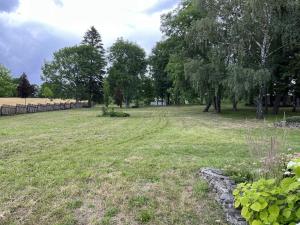 un champ d'herbe avec des arbres et une clôture dans l'établissement Chalupa Anadělská Hora, à Andělská Hora