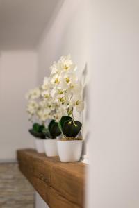 Zdjęcie z galerii obiektu Orchideen Apartment w Villach
