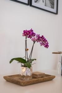 Zdjęcie z galerii obiektu Orchideen Apartment w Villach