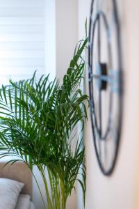 Zdjęcie z galerii obiektu Orchideen Apartment w Villach