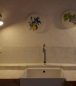 貝格海姆的住宿－La Charpenterie，厨房水槽,墙上有两盆植物