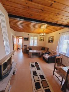 uma sala de estar com um sofá e uma lareira em Вила Боби em Tsigov Chark