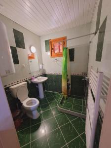 a green bathroom with a toilet and a sink at Вила Боби in Tsigov Chark