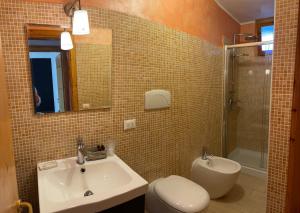 ein Badezimmer mit einem Waschbecken, einem WC und einem Spiegel in der Unterkunft Confortevole appartamento a Camigliatello Silano in Camigliatello Silano