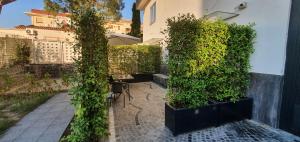 Zahrada ubytování Ercolano Luxury Suite