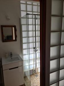 een badkamer met een douche en een wastafel bij Apartament w Starej Szkole in Srebrna Góra