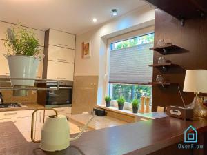 Kuchnia lub aneks kuchenny w obiekcie Lux Apartment - Lakefront Apartment in Kamień with Sauna & Hot Tub Only 30 Minutes from Gdańsk and Gdynia